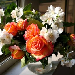 Обои с цветами, окно, весной, жасмином, розами, букетом, вазой - скачать