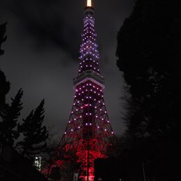 Обои с темными, японией, башней, токио, подсветкой, светом, ночноем городом - скачать