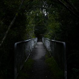 Обои с мостом, лесом, темными, далем, дорогой - скачать