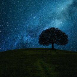 Обои с деревом, звездами, поле, ночью, темными, горизонтом - скачать