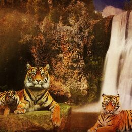 Обои с водой, хищниками, животными, фоном, горами, тиграми, водопадом, скалами, кошками - скачать