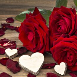 Обои с романтическим, красным цветоком, флауэрсами, земля/природой, розой, красной розой, любовь, цветоком - скачать