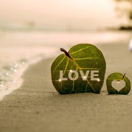 Обои с песоком, сердце, любовь, художественными, романтическим, пляжем, листвой - скачать
