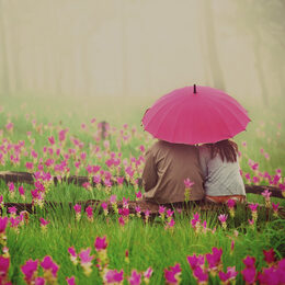 Обои с любовь, фотографии, зонтиками, парой, цветоком - скачать